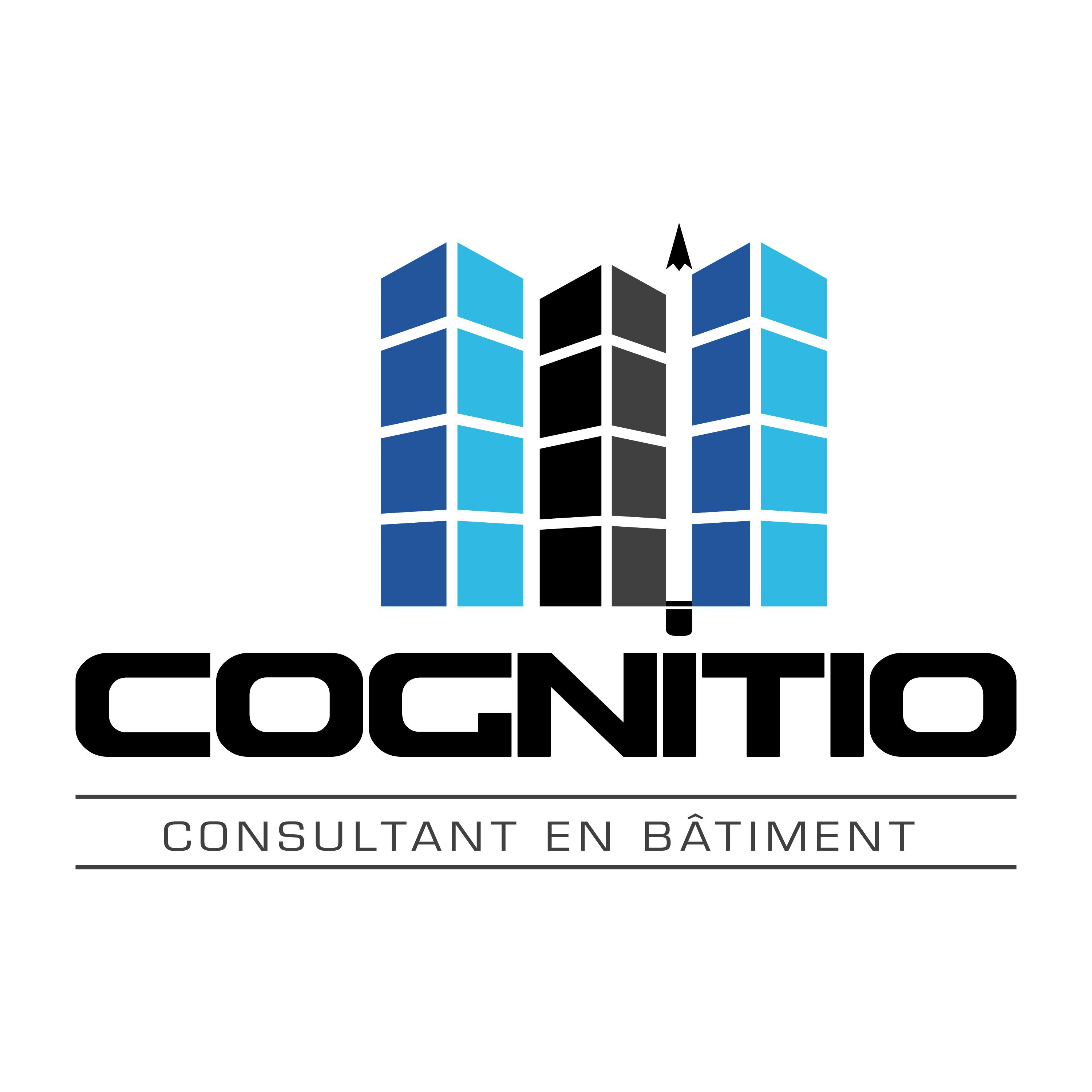 Cognitio Consultants inc.