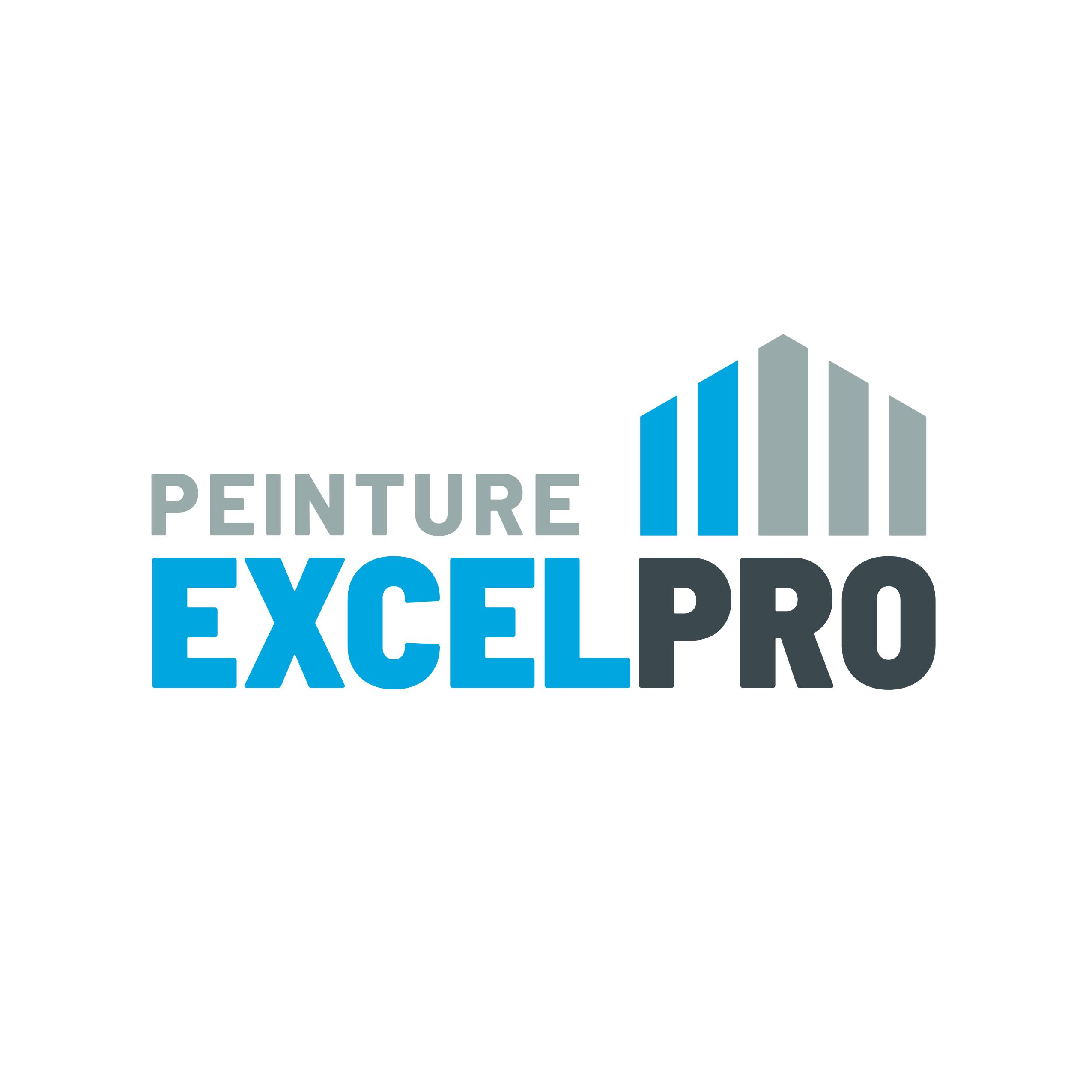 Peinture Excel Pro