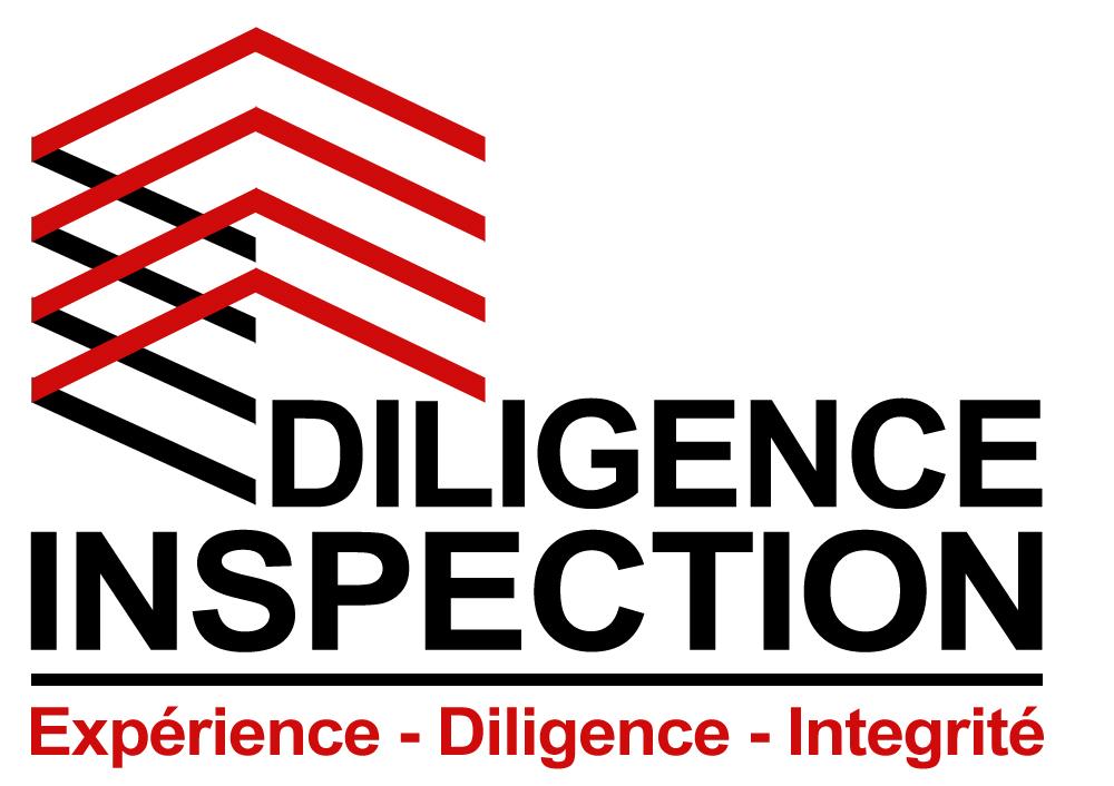 Diligence Inspection/Michel Khalil